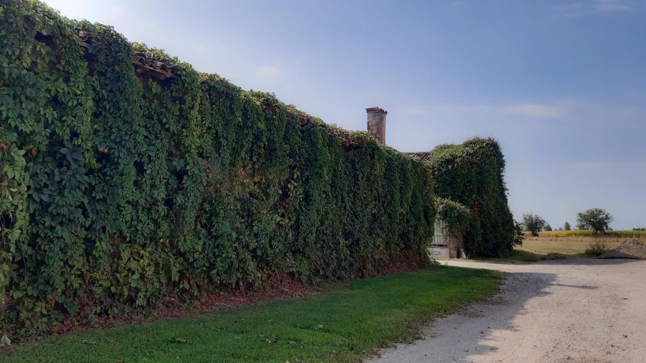 B&B Santa Cristina モンティキアーリ エクステリア 写真