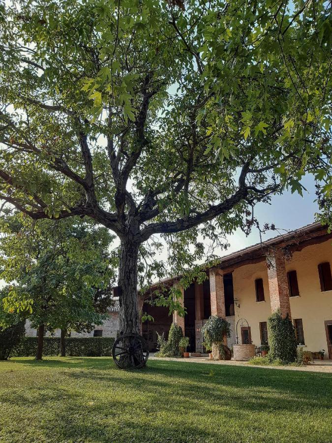 B&B Santa Cristina モンティキアーリ エクステリア 写真